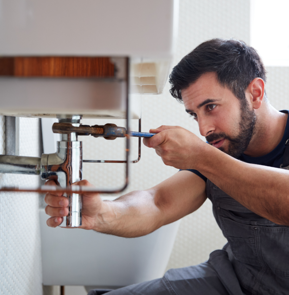 Property Maintenance